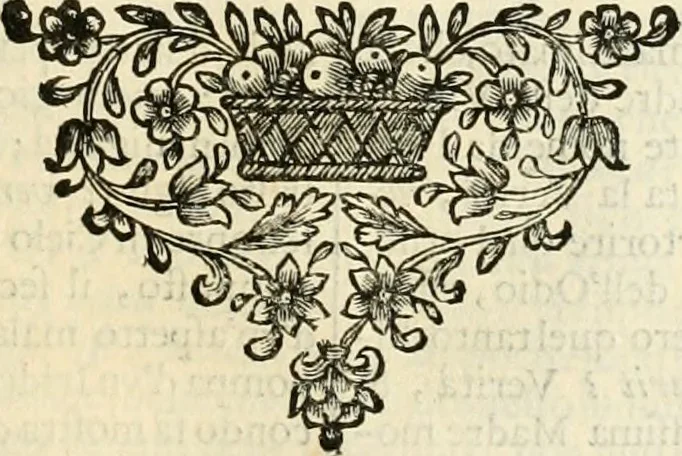 An illustration from Simboli predicabili : estratti da sacri evangeli che corrono nella quadragesima : delineati con morali, & eruditi discorsi, 1692, leaf 116