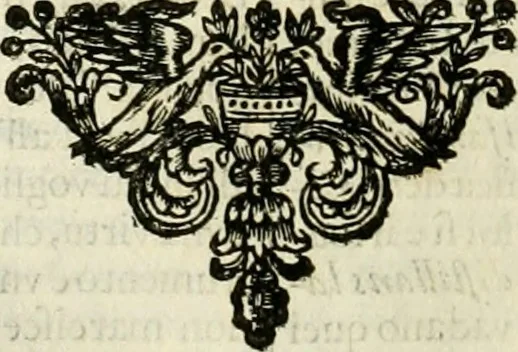 An illustration from Simboli predicabili : estratti da sacri evangeli che corrono nella quadragesima : delineati con morali, & eruditi discorsi, 1692, leaf 139