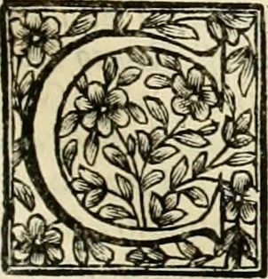 An illustration from Simboli predicabili : estratti da sacri evangeli che corrono nella quadragesima : delineati con morali, & eruditi discorsi, 1692, leaf 140