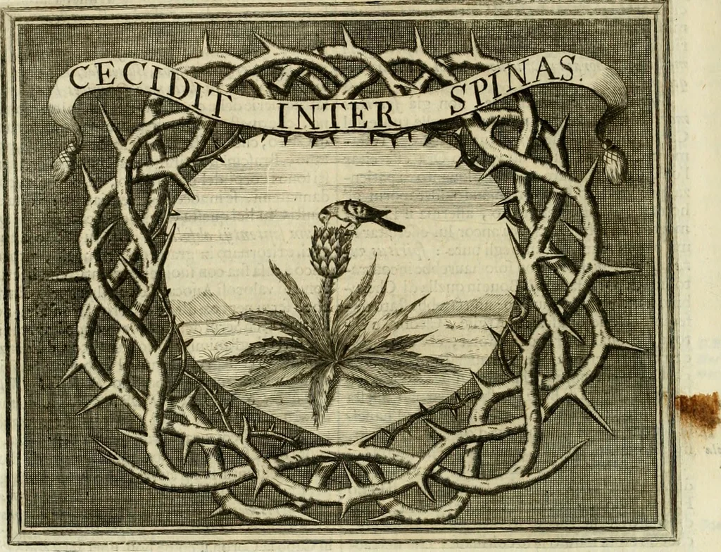 An illustration from Simboli predicabili : estratti da sacri evangeli che corrono nella quadragesima : delineati con morali, & eruditi discorsi, 1692, leaf 151
