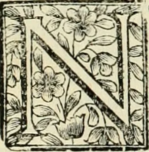 An illustration from Simboli predicabili : estratti da sacri evangeli che corrono nella quadragesima : delineati con morali, & eruditi discorsi, 1692, leaf 217