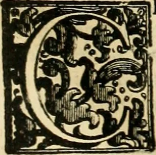 An illustration from Simboli predicabili : estratti da sacri evangeli che corrono nella quadragesima : delineati con morali, & eruditi discorsi, 1692, leaf 284