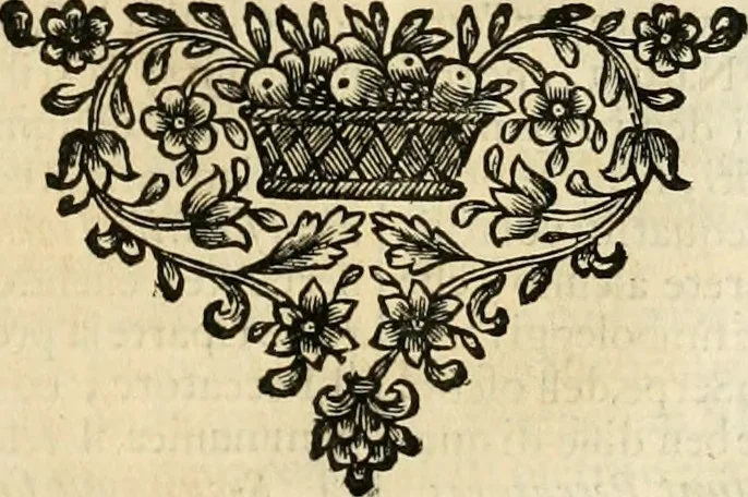An illustration from Simboli predicabili : estratti da sacri evangeli che corrono nella quadragesima : delineati con morali, & eruditi discorsi, 1692, leaf 342