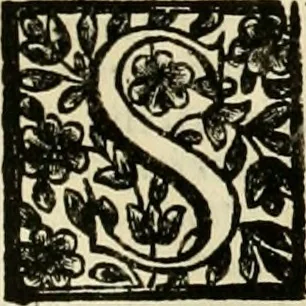 An illustration from Simboli predicabili : estratti da sacri evangeli che corrono nella quadragesima : delineati con morali, & eruditi discorsi, 1692, leaf 354