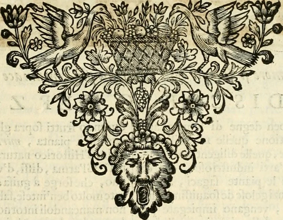 An illustration from Simboli predicabili : estratti da sacri evangeli che corrono nella quadragesima : delineati con morali, & eruditi discorsi, 1692, leaf 36