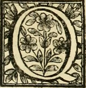 An illustration from Simboli predicabili : estratti da sacri evangeli che corrono nella quadragesima : delineati con morali, & eruditi discorsi, 1692, leaf 452