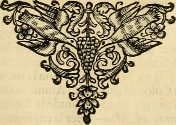 An illustration from Simboli predicabili : estratti da sacri evangeli che corrono nella quadragesima : delineati con morali, & eruditi discorsi, 1692, leaf 482