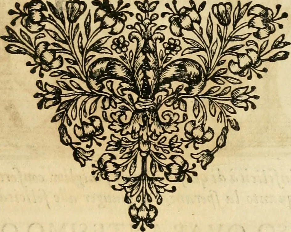 An illustration from Simboli predicabili : estratti da sacri evangeli che corrono nella quadragesima : delineati con morali, & eruditi discorsi, 1692, leaf 492