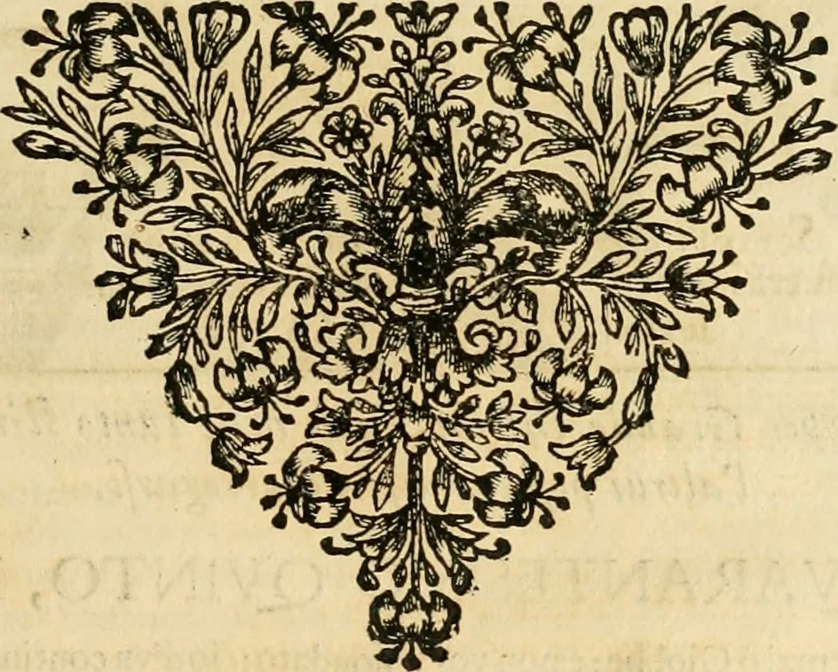 An illustration from Simboli predicabili : estratti da sacri evangeli che corrono nella quadragesima : delineati con morali, & eruditi discorsi, 1692, leaf 502