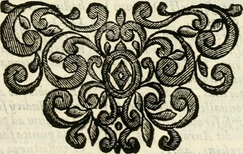An illustration from Simboli predicabili : estratti da sacri evangeli che corrono nella quadragesima : delineati con morali, & eruditi discorsi, 1692, leaf 534