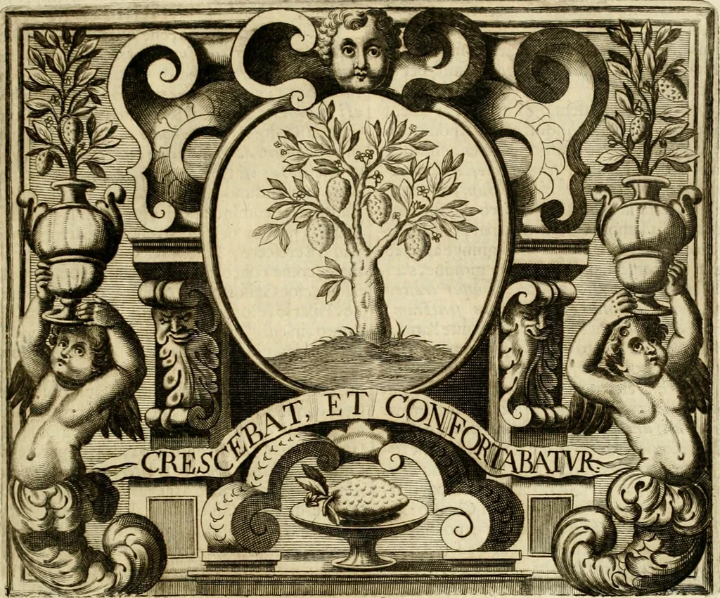 An illustration from Simboli predicabili : estratti da sacri evangeli che corrono nella quadragesima : delineati con morali, & eruditi discorsi, 1692, leaf 58