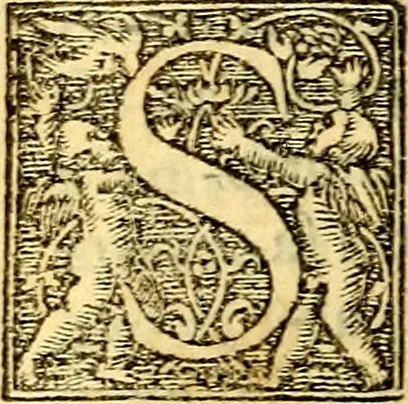 An illustration from Simolachri, historie, e figure de la morte. La medicina de l'anima [di Urbanus Rhegius] Il modo, e la via di consolar gl'infermi. Un sermone di San Cipriano, de la mortalità. Due orationi, l'una à Dio, e l'altra à Christo. Un sermone di D. Giovan Chrisostomo, che ci essorta à patienza. Aiuntovi de novo molte figure mai più stampate, 1549, leaf 127