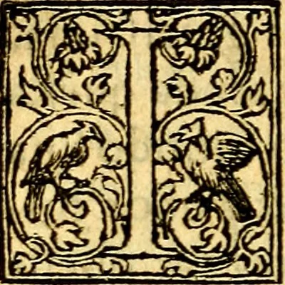An illustration from Simolachri, historie, e figure de la morte. La medicina de l'anima [di Urbanus Rhegius] Il modo, e la via di consolar gl'infermi. Un sermone di San Cipriano, de la mortalità. Due orationi, l'una à Dio, e l'altra à Christo. Un sermone di D. Giovan Chrisostomo, che ci essorta à patienza. Aiuntovi de novo molte figure mai più stampate, 1549, leaf 211