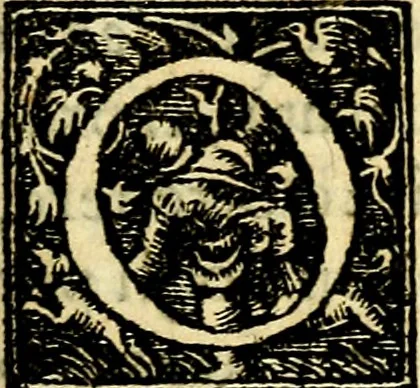 An illustration from Simolachri, historie, e figure de la morte. La medicina de l'anima [di Urbanus Rhegius] Il modo, e la via di consolar gl'infermi. Un sermone di San Cipriano, de la mortalità. Due orationi, l'una à Dio, e l'altra à Christo. Un sermone di D. Giovan Chrisostomo, che ci essorta à patienza. Aiuntovi de novo molte figure mai più stampate, 1549, leaf 256