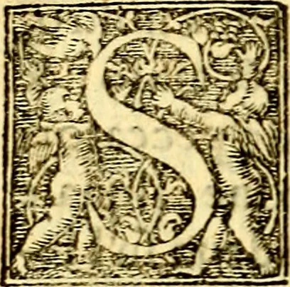 An illustration from Simolachri, historie, e figure de la morte. La medicina de l'anima [di Urbanus Rhegius] Il modo, e la via di consolar gl'infermi. Un sermone di San Cipriano, de la mortalità. Due orationi, l'una à Dio, e l'altra à Christo. Un sermone di D. Giovan Chrisostomo, che ci essorta à patienza. Aiuntovi de novo molte figure mai più stampate, 1549, leaf 261