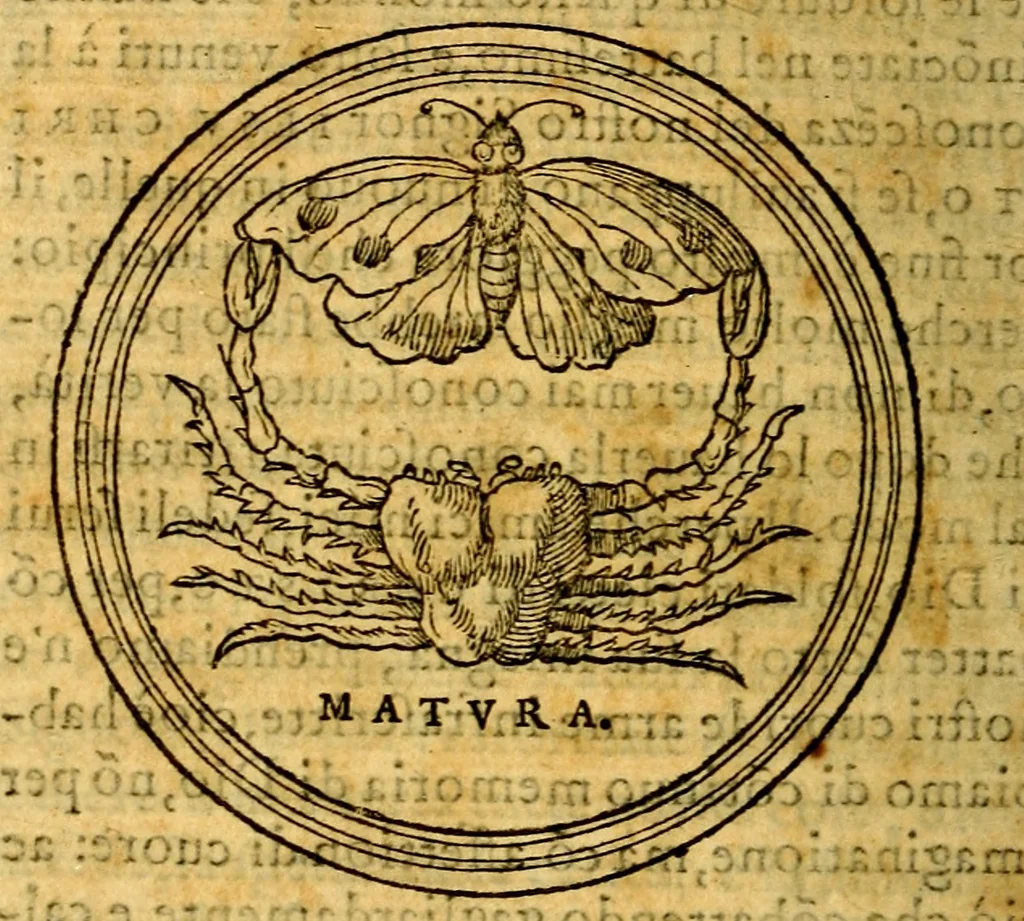 An illustration from Simolachri, historie, e figure de la morte. La medicina de l'anima [di Urbanus Rhegius] Il modo, e la via di consolar gl'infermi. Un sermone di San Cipriano, de la mortalità. Due orationi, l'una à Dio, e l'altra à Christo. Un sermone di D. Giovan Chrisostomo, che ci essorta à patienza. Aiuntovi de novo molte figure mai più stampate, 1549, leaf 287
