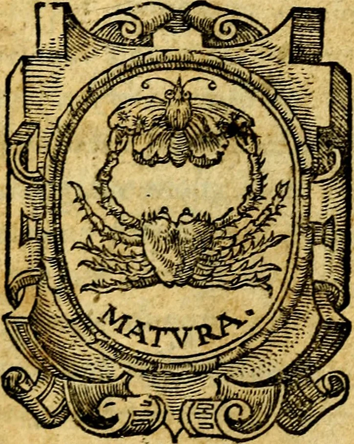 An illustration from Simolachri, historie, e figure de la morte. La medicina de l'anima [di Urbanus Rhegius] Il modo, e la via di consolar gl'infermi. Un sermone di San Cipriano, de la mortalità. Due orationi, l'una à Dio, e l'altra à Christo. Un sermone di D. Giovan Chrisostomo, che ci essorta à patienza. Aiuntovi de novo molte figure mai più stampate, 1549, leaf 4