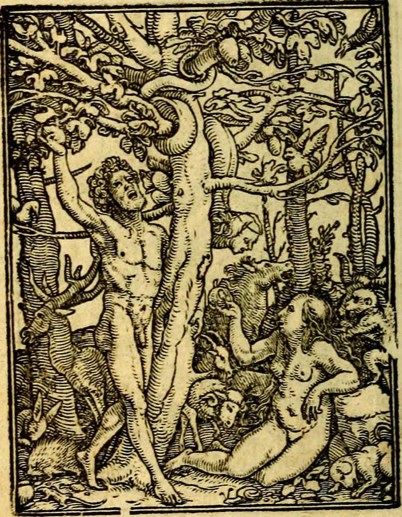 An illustration from Simolachri, historie, e figure de la morte. La medicina de l'anima [di Urbanus Rhegius] Il modo, e la via di consolar gl'infermi. Un sermone di San Cipriano, de la mortalità. Due orationi, l'una à Dio, e l'altra à Christo. Un sermone di D. Giovan Chrisostomo, che ci essorta à patienza. Aiuntovi de novo molte figure mai più stampate, 1549, leaf 9