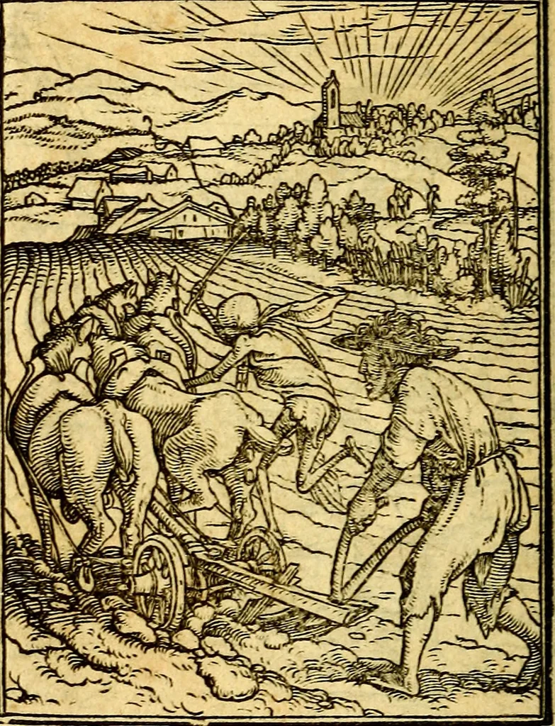 An illustration from Simolachri, historie, e figure de la morte. La medicina de l'anima [di Urbanus Rhegius] Il modo, e la via di consolar gl'infermi. Un sermone di San Cipriano, de la mortalità. Due orationi, l'una à Dio, e l'altra à Christo. Un sermone di D. Giovan Chrisostomo, che ci essorta à patienza. Aiuntovi de novo molte figure mai più stampate, 1549, leaf 95