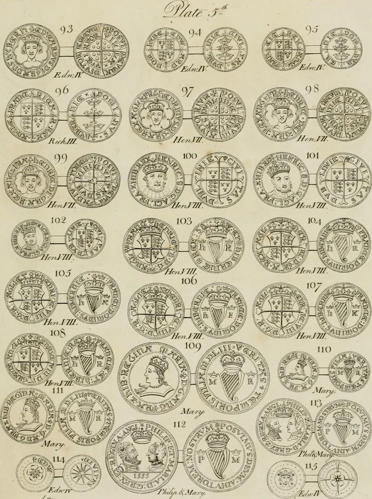 An illustration from Simon's Essay on Irish coins, and of the currency of foreign monies in Ireland; with Mr. Snelling's supplement, 1810, leaf 202