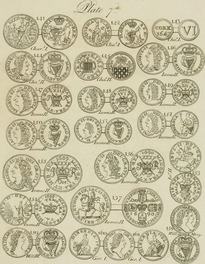 An illustration from Simon's Essay on Irish coins, and of the currency of foreign monies in Ireland; with Mr. Snelling's supplement, 1810, leaf 206