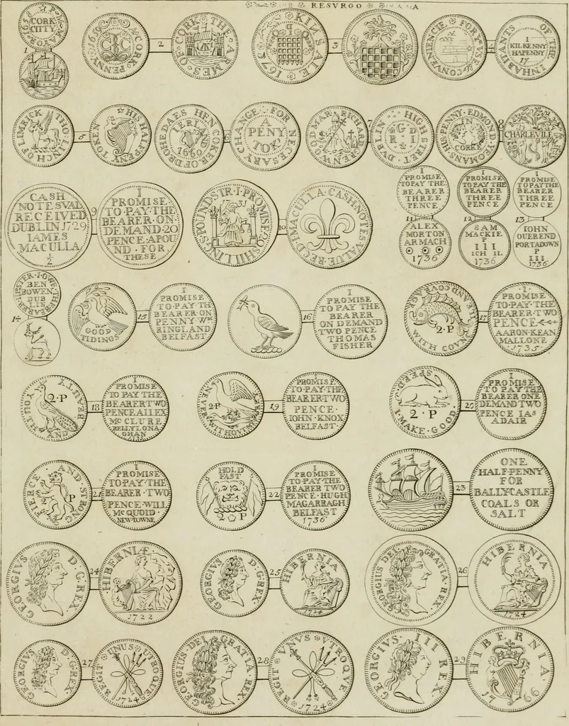 An illustration from Simon's Essay on Irish coins, and of the currency of foreign monies in Ireland; with Mr. Snelling's supplement, 1810, leaf 220