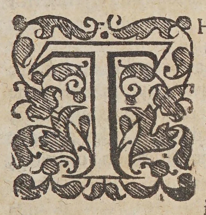 An illustration from Simplicities defence against seven-headed policy. Or Innocency vindicated, being unjustly accused, and sorely censured, by that seven-headed church-government united in New-England., 1646, leaf 25