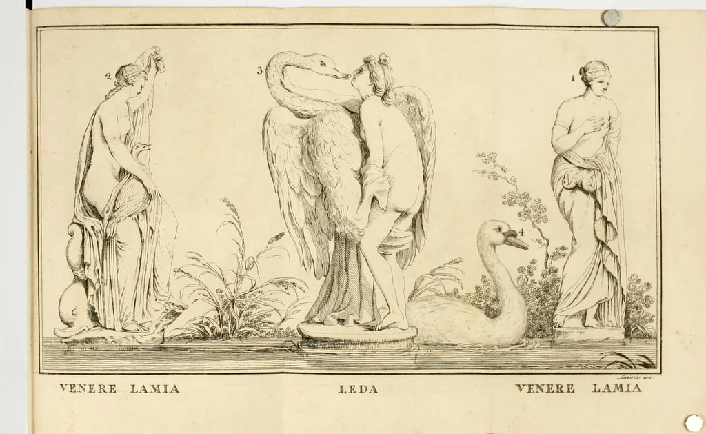 An illustration from Simulacro di nuova venere, 1796, leaf 100