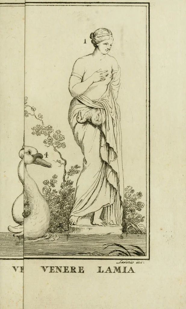 An illustration from Simulacro di nuova venere, 1796, leaf 99