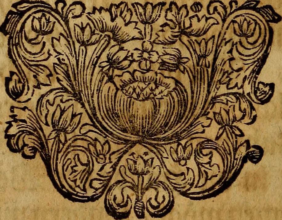 An illustration from Sinceri Renati Sämtliche Philosophisch- und Chymische Schrifften, als: I. Die wahrhaffte und vollkommene Bereitung des Philosophischen Steins, &c. II. Theo-Philosophia Theoretico-Practica, oder der wahre Grund Göttlicher und natürlicher Erkänntniss &c. III. Goldene Qvelle der Natur und Kunst, bestehend in lauter Experimentis und chymischen Handgriffen &c, 1741, leaf 137