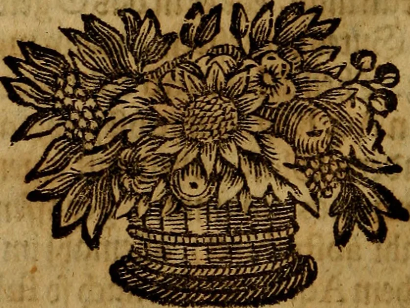 An illustration from Sinceri Renati Sämtliche Philosophisch- und Chymische Schrifften, als: I. Die wahrhaffte und vollkommene Bereitung des Philosophischen Steins, &c. II. Theo-Philosophia Theoretico-Practica, oder der wahre Grund Göttlicher und natürlicher Erkänntniss &c. III. Goldene Qvelle der Natur und Kunst, bestehend in lauter Experimentis und chymischen Handgriffen &c, 1741, leaf 145