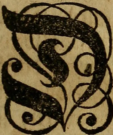 An illustration from Sinceri Renati Sämtliche Philosophisch- und Chymische Schrifften, als: I. Die wahrhaffte und vollkommene Bereitung des Philosophischen Steins, &c. II. Theo-Philosophia Theoretico-Practica, oder der wahre Grund Göttlicher und natürlicher Erkänntniss &c. III. Goldene Qvelle der Natur und Kunst, bestehend in lauter Experimentis und chymischen Handgriffen &c, 1741, leaf 20
