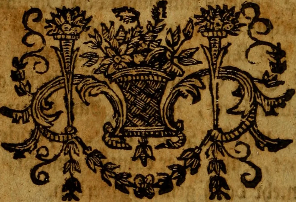 An illustration from Sinceri Renati Sämtliche Philosophisch- und Chymische Schrifften, als: I. Die wahrhaffte und vollkommene Bereitung des Philosophischen Steins, &c. II. Theo-Philosophia Theoretico-Practica, oder der wahre Grund Göttlicher und natürlicher Erkänntniss &c. III. Goldene Qvelle der Natur und Kunst, bestehend in lauter Experimentis und chymischen Handgriffen &c, 1741, leaf 769