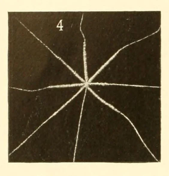 An illustration from Singer instructions for art embroidery, 1911, leaf 52
