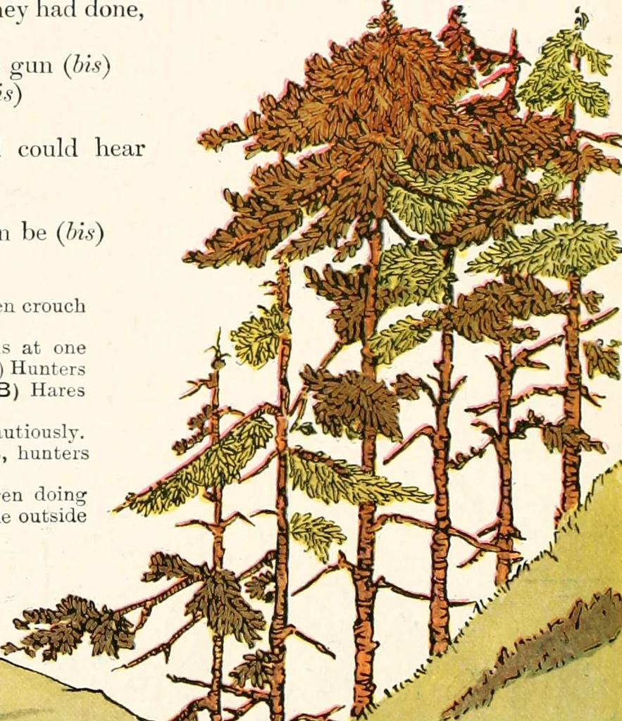 An illustration from The singing circle; a picture book of action songs, other songs, and dances, 1911, leaf 53