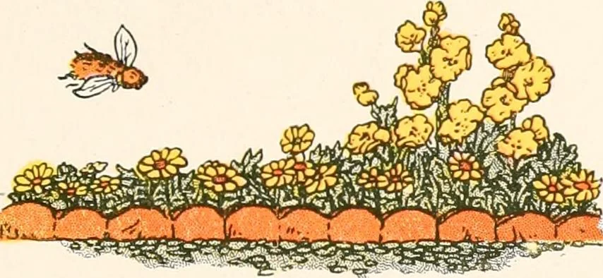 An illustration from The singing circle; a picture book of action songs, other songs, and dances, 1911, leaf 68