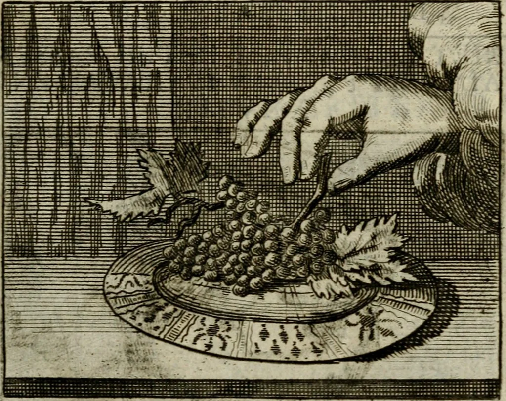 An illustration from Sinne- en minne-beelden ; Selfstryt ; Tooneel der mannelyke agtbaarheydt ; Galathea of Herderskalsgt ; Klagende maegden : en andere mengelrymen, 1779, leaf 216