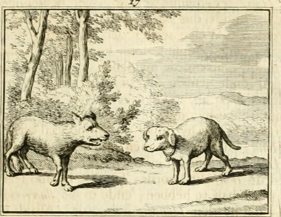 An illustration from Sinryke fabulen : verklaart en toegepast tot alderley zeede-lessen, dienstig om waargenoomen te werden in het menschelijke en burgerlijke leeven, 1685, leaf 106