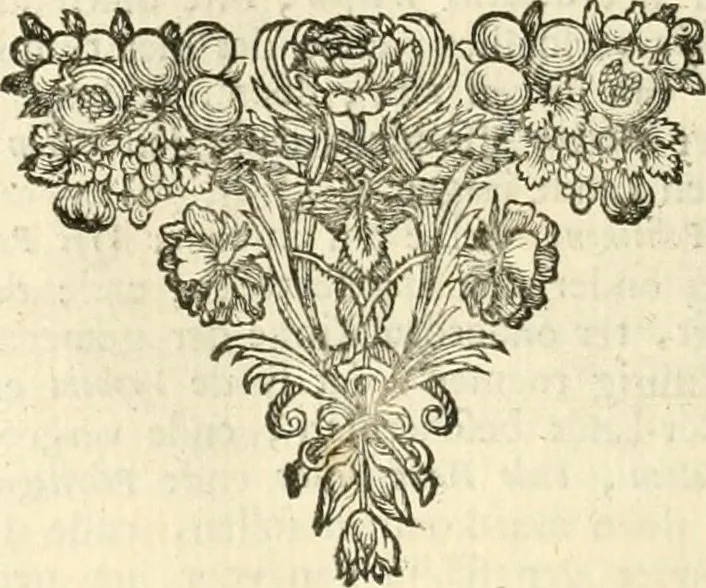 An illustration from Sinryke fabulen : verklaart en toegepast tot alderley zeede-lessen, dienstig om waargenoomen te werden in het menschelijke en burgerlijke leeven, 1685, leaf 139