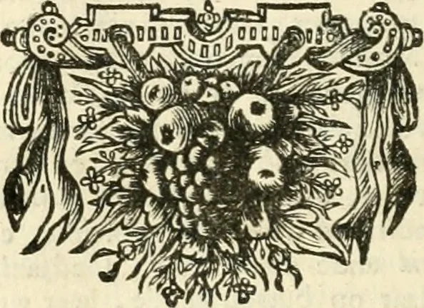 An illustration from Sinryke fabulen : verklaart en toegepast tot alderley zeede-lessen, dienstig om waargenoomen te werden in het menschelijke en burgerlijke leeven, 1685, leaf 145
