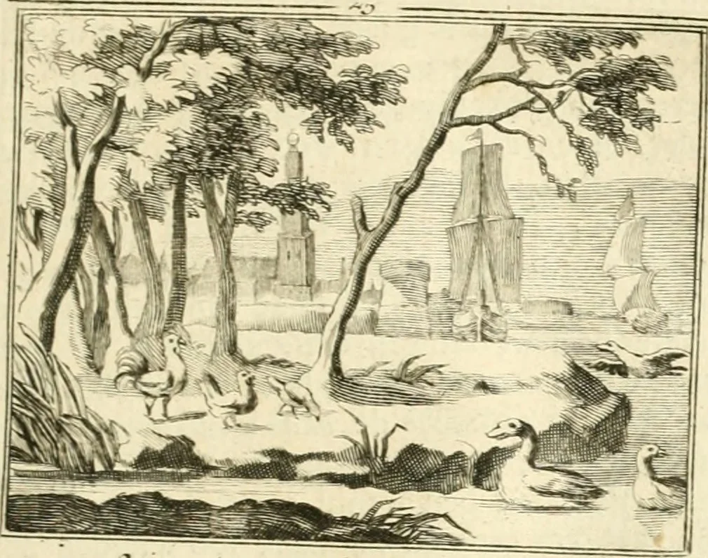 An illustration from Sinryke fabulen : verklaart en toegepast tot alderley zeede-lessen, dienstig om waargenoomen te werden in het menschelijke en burgerlijke leeven, 1685, leaf 146