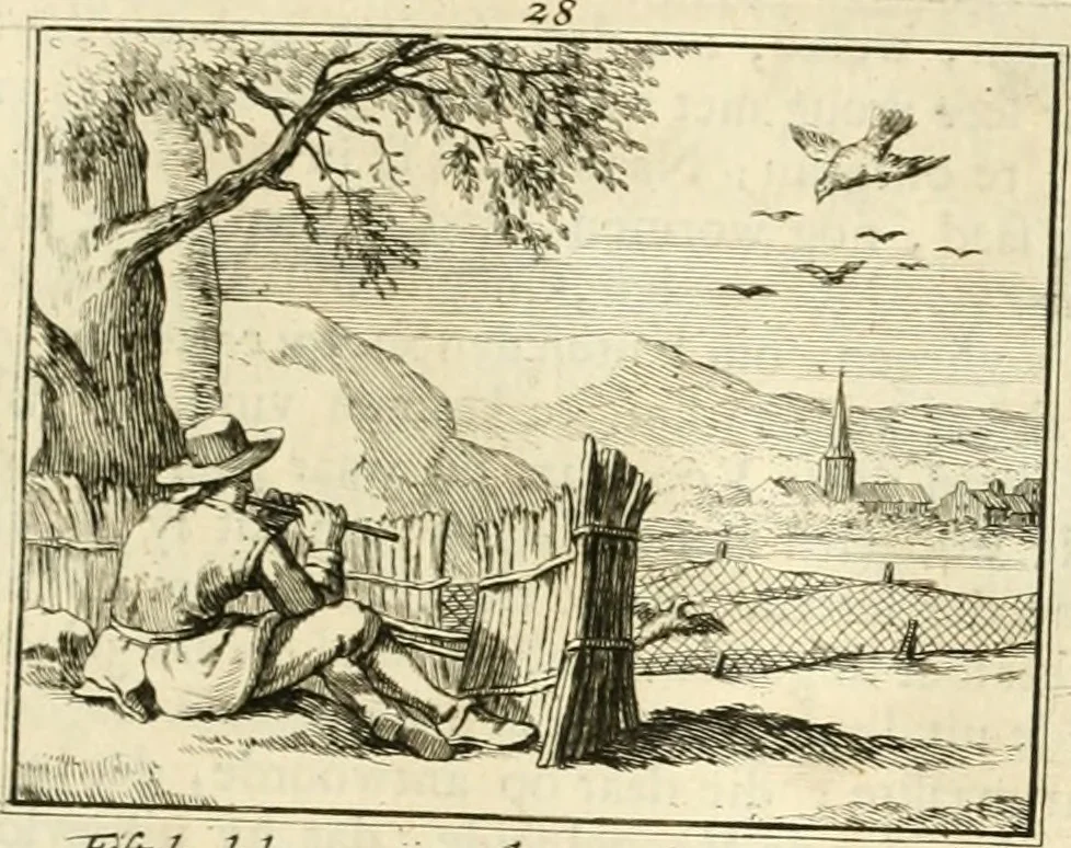 An illustration from Sinryke fabulen : verklaart en toegepast tot alderley zeede-lessen, dienstig om waargenoomen te werden in het menschelijke en burgerlijke leeven, 1685, leaf 162