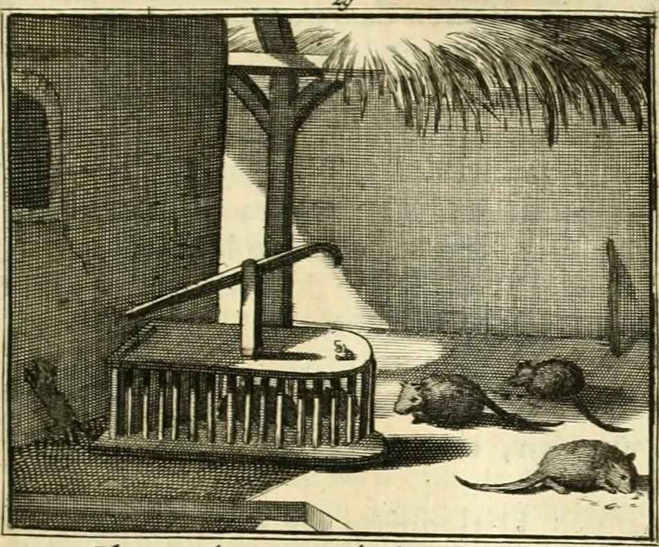 An illustration from Sinryke fabulen : verklaart en toegepast tot alderley zeede-lessen, dienstig om waargenoomen te werden in het menschelijke en burgerlijke leeven, 1685, leaf 170