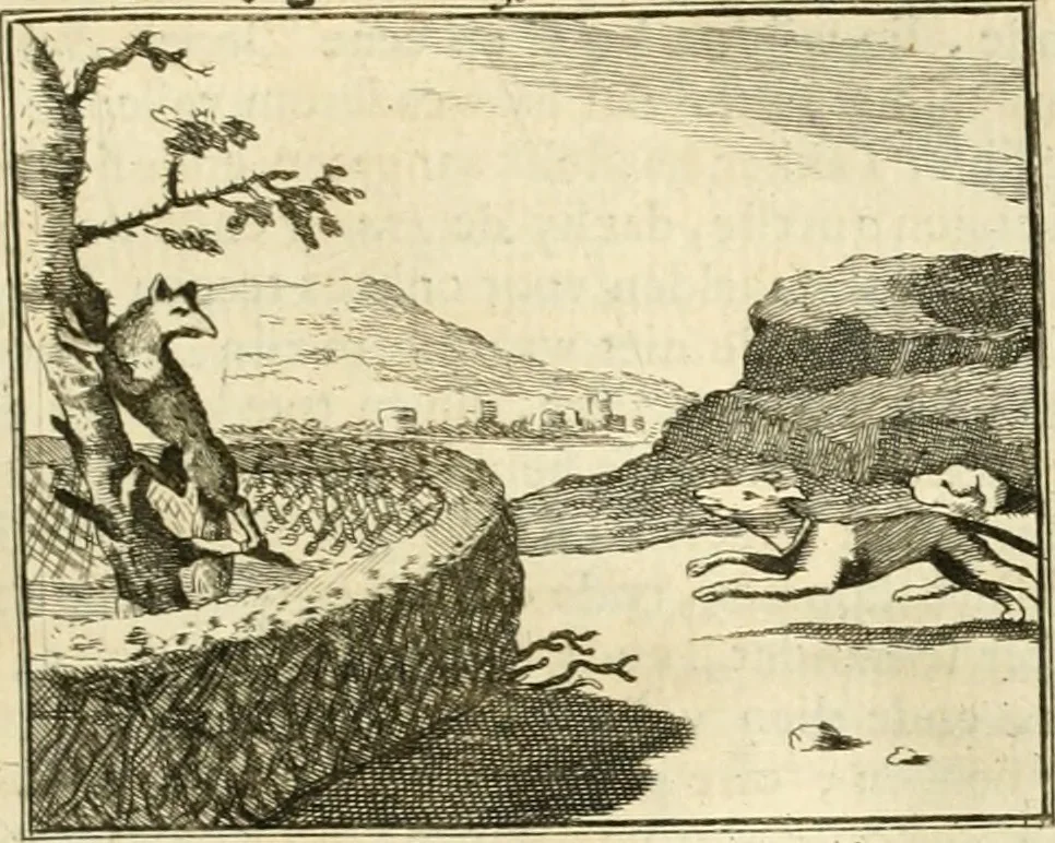 An illustration from Sinryke fabulen : verklaart en toegepast tot alderley zeede-lessen, dienstig om waargenoomen te werden in het menschelijke en burgerlijke leeven, 1685, leaf 174