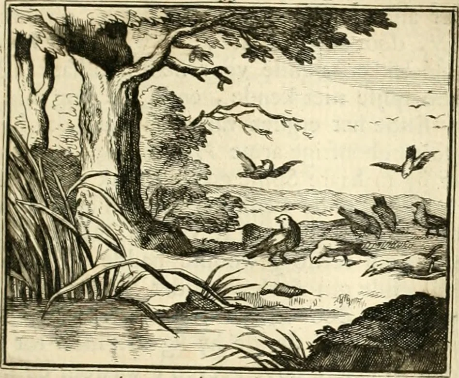 An illustration from Sinryke fabulen : verklaart en toegepast tot alderley zeede-lessen, dienstig om waargenoomen te werden in het menschelijke en burgerlijke leeven, 1685, leaf 188