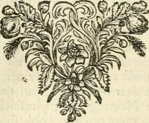 An illustration from Sinryke fabulen : verklaart en toegepast tot alderley zeede-lessen, dienstig om waargenoomen te werden in het menschelijke en burgerlijke leeven, 1685, leaf 193