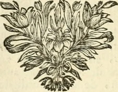 An illustration from Sinryke fabulen : verklaart en toegepast tot alderley zeede-lessen, dienstig om waargenoomen te werden in het menschelijke en burgerlijke leeven, 1685, leaf 199