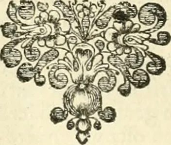 An illustration from Sinryke fabulen : verklaart en toegepast tot alderley zeede-lessen, dienstig om waargenoomen te werden in het menschelijke en burgerlijke leeven, 1685, leaf 205