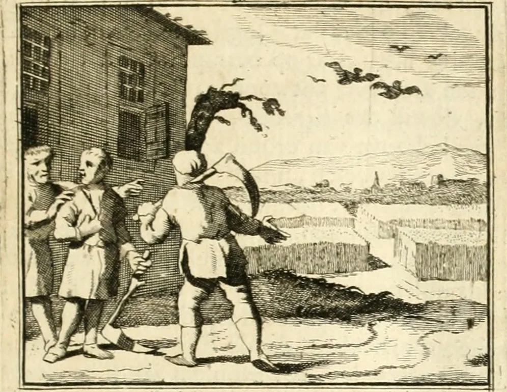 An illustration from Sinryke fabulen : verklaart en toegepast tot alderley zeede-lessen, dienstig om waargenoomen te werden in het menschelijke en burgerlijke leeven, 1685, leaf 206