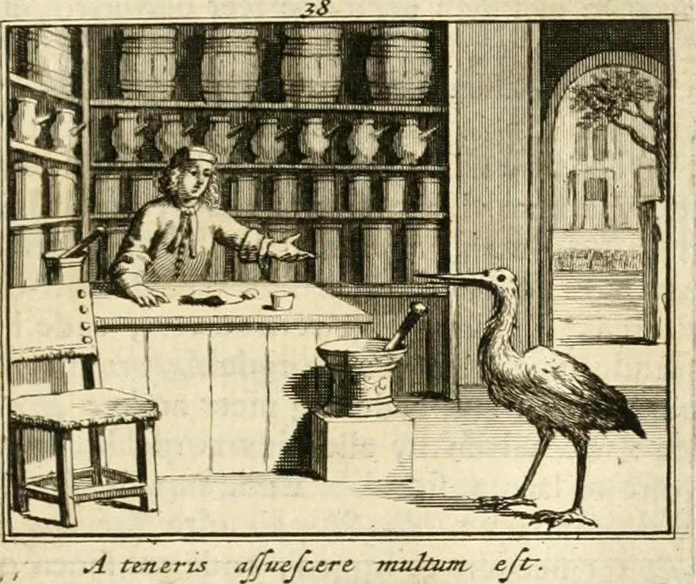 An illustration from Sinryke fabulen : verklaart en toegepast tot alderley zeede-lessen, dienstig om waargenoomen te werden in het menschelijke en burgerlijke leeven, 1685, leaf 220